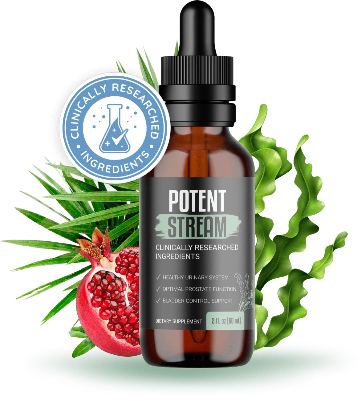 PotentStream™ liquid prostate health supplement bottle — fast-absorbing dropper formula